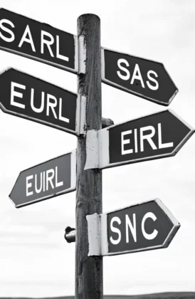 Illustration direction et choix de frome sociale illustration du choix de forme sociale pour une entreprise